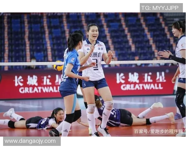 深圳排球队个人能力分析与联赛表现评估